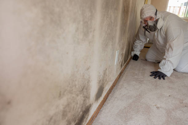 Forensic Mold Investigation in Robinson, TX