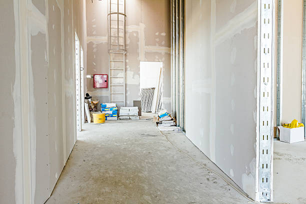 Best Post-Construction Mold Inspection  in Robinson, TX